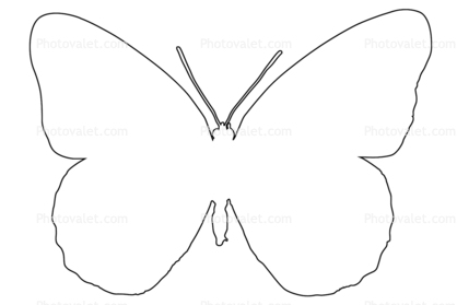 418x279 Butterflies, Wings, Butterfly Outline, Line Drawing, Shape Images