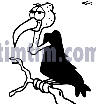 334x361 Free Drawing Of Buzzard From The Category Birds Insects