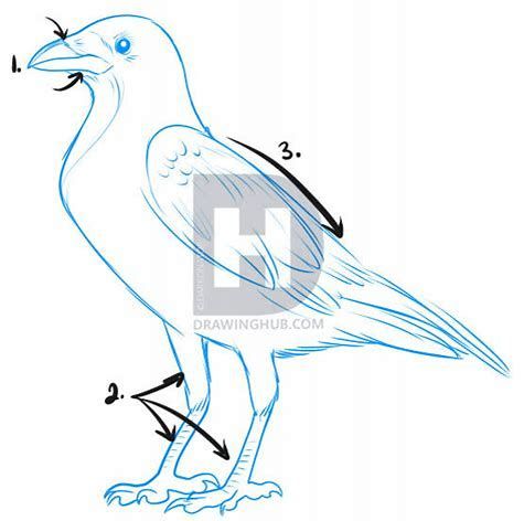 475x472 Image Result For How To Draw A Crow Or Raven Ravencrow
