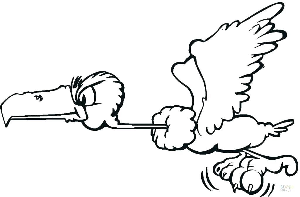 1024x673 Vulture Coloring