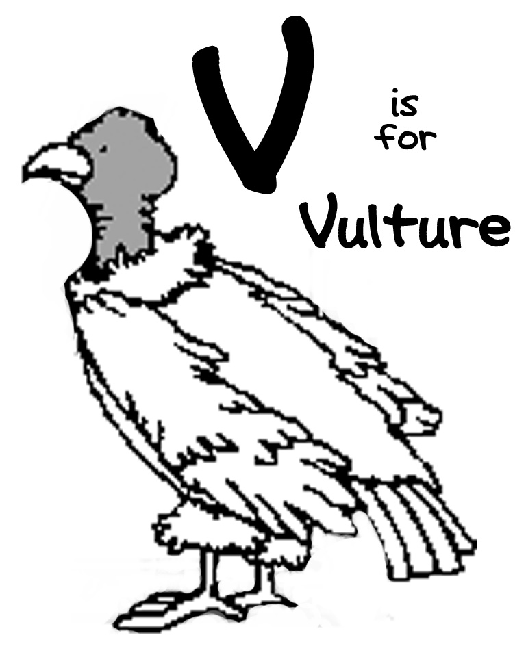 768x960 Vulture Drawing Free Download
