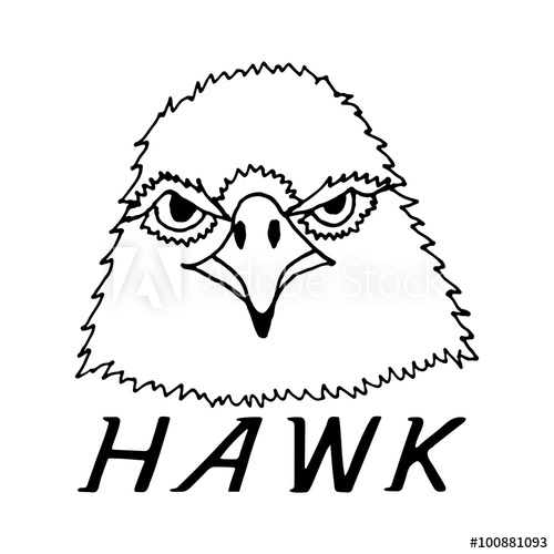 500x500 Hand Draw Hawk Head