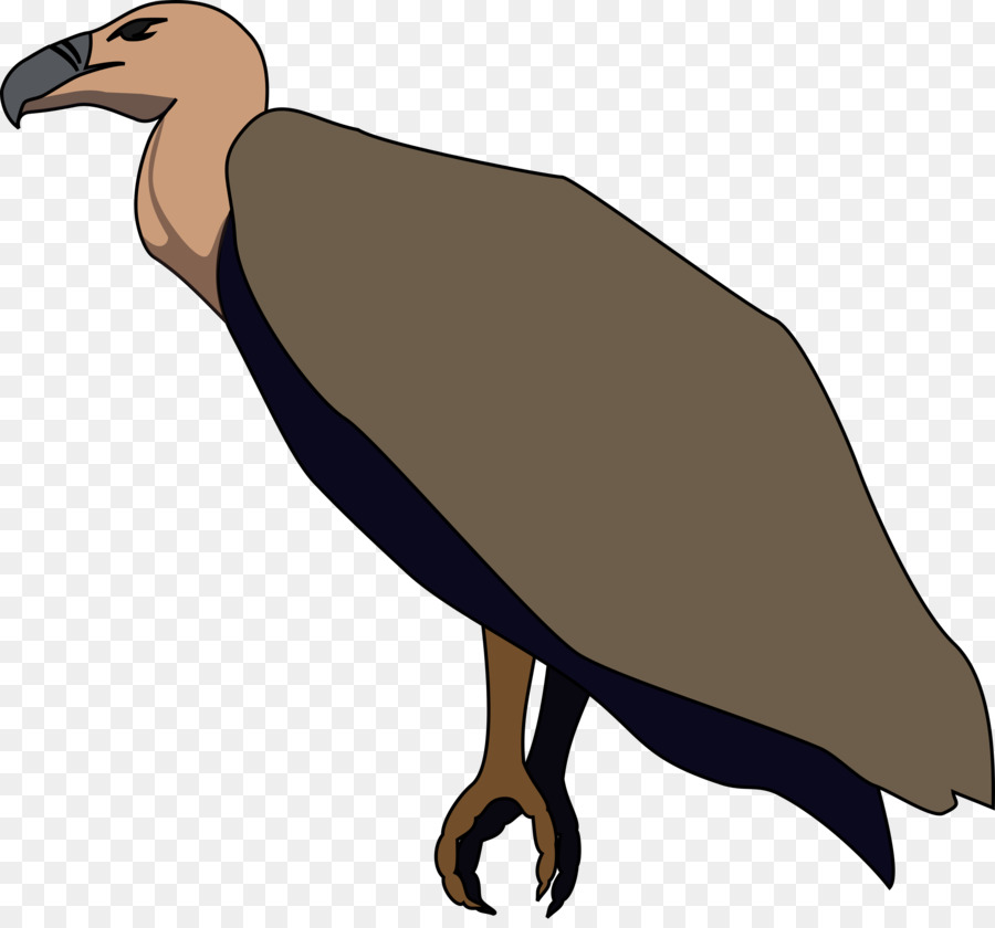 900x840 Bird, Drawing, Wing, Transparent Png Image Clipart Free Download