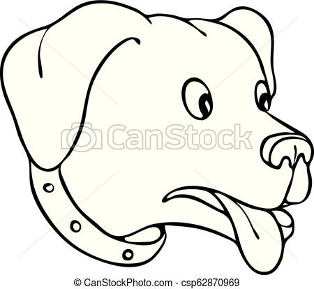 450x414 labrador dog eye pop bw dwg drawing sketch style illustration