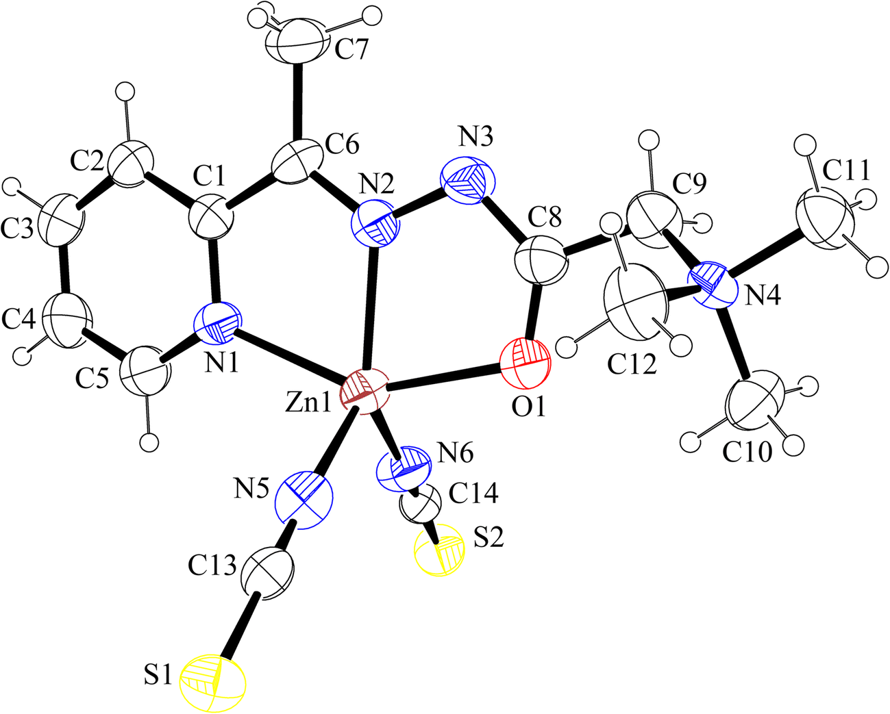 1299x1043 Structural Diversity Of Isothiocyanato Cd