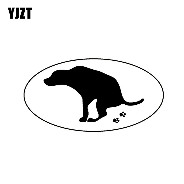 640x640 yjzt dog pow oval vinyl decal funny car sticker black