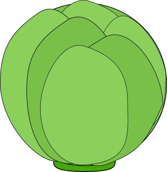 582x599 Cabbage Clip Art Free Vector In Open Office Drawing