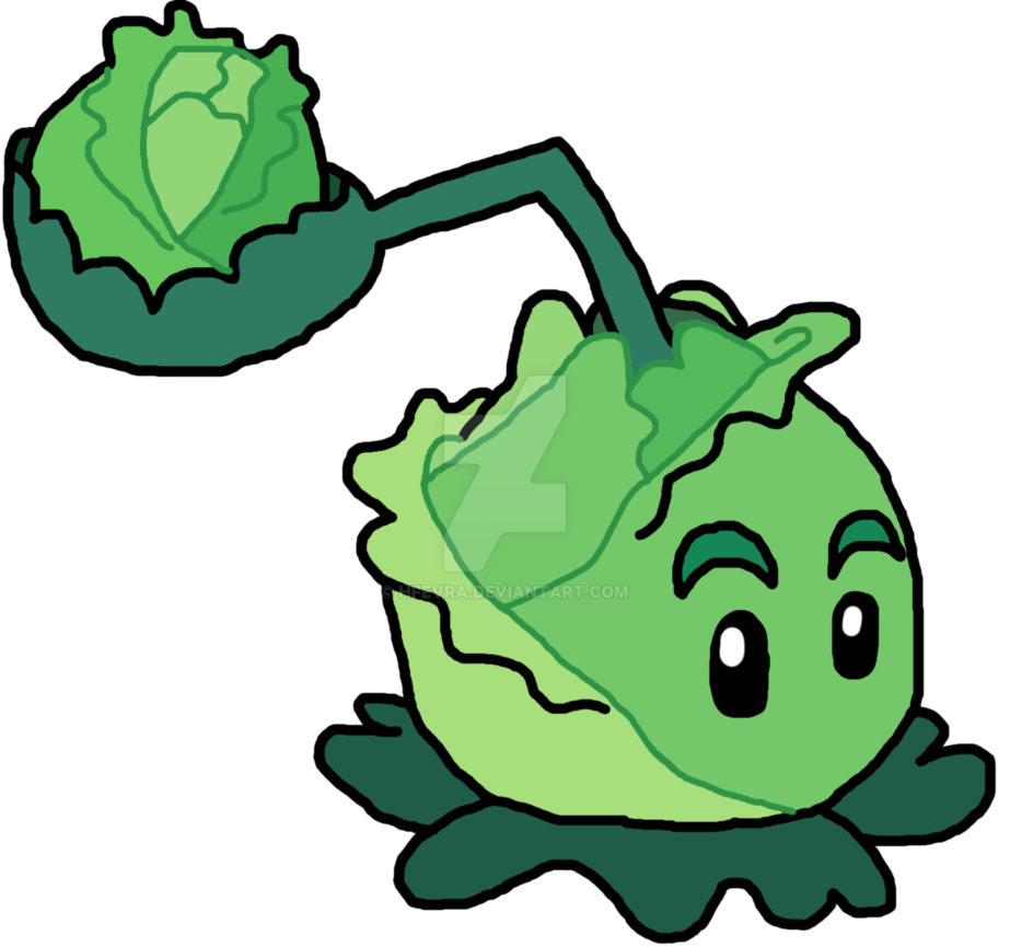 923x865 Cabbage Pult Drawing