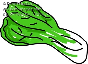 300x216 Clipart Image Of A Whimsical Drawing Of Pak Choi Cabbage