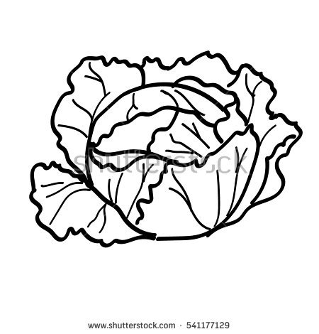 450x470 Collection Of Free Cabbaging Clipart Black And White Download