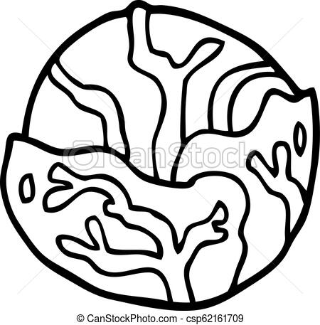 450x457 Line Drawing Cartoon Cabbage