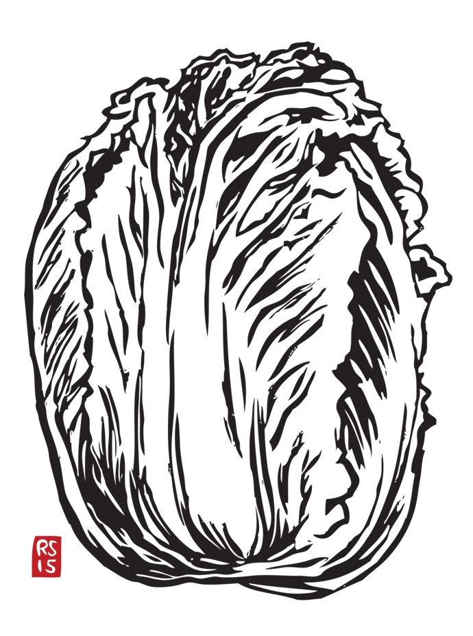 690x929 Napa Cabbage Rigel Stuhmiller
