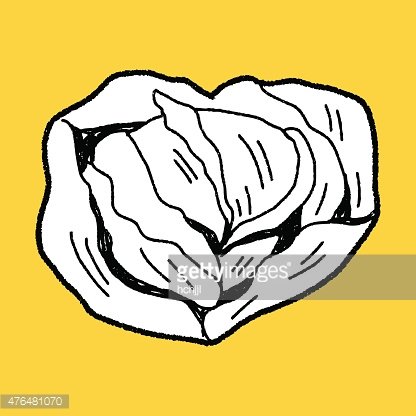 416x416 Cabbage Doodle Premium Clipart