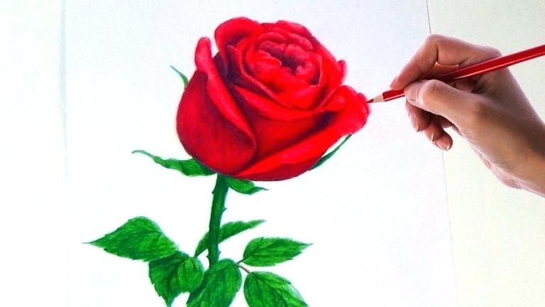 768x432 Drawing Flower Rose How To Draw Roses How To Draw Roses Drawing