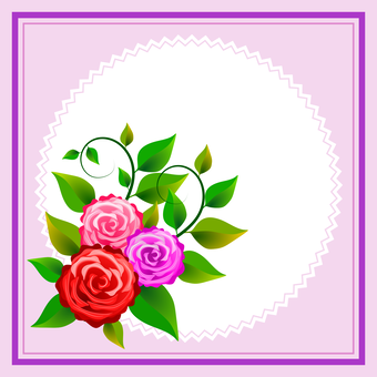 340x340 Garden Roses Drawing Cabbage Rose Cut Flowers Cc0