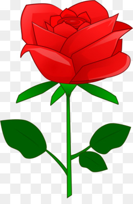 260x400 Garden Roses Valentines Day