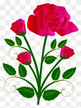 320x425 Rose Png Clip Art Transparent Image