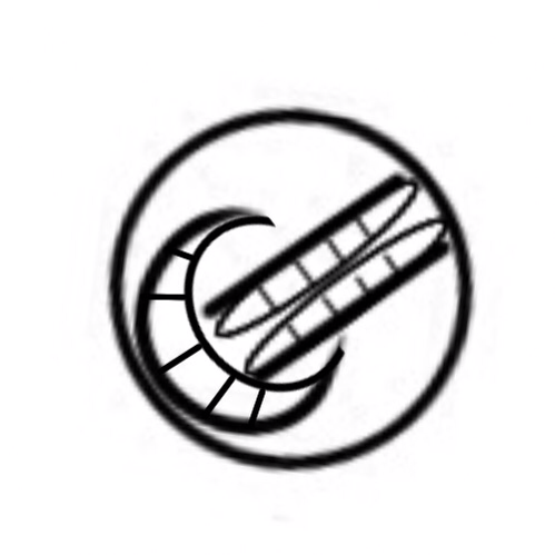 499x499 Tutorial Cabbage Rose