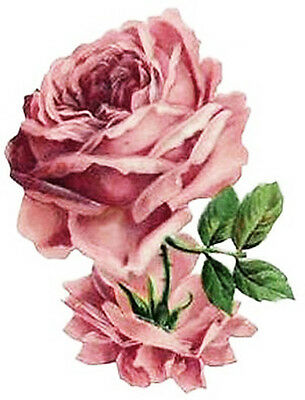 305x400 Vintage Victorian Pink Cabbage Rose Large Furniture Size
