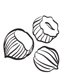 300x300 hazelnut drawing simple organic transparent png clipart free