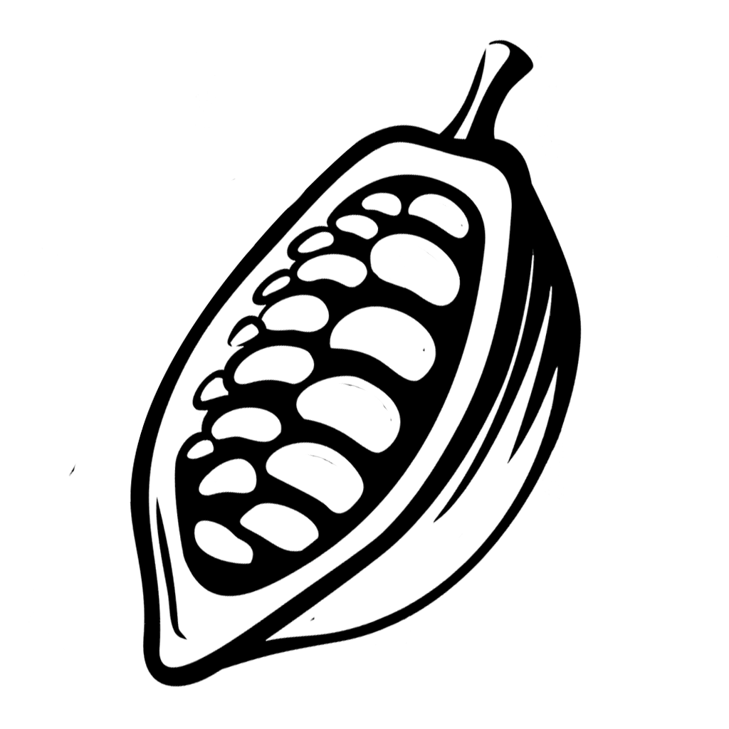 1024x1024 mapa de sabores de cacao