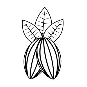 300x300 cacao bean royalty free vectors