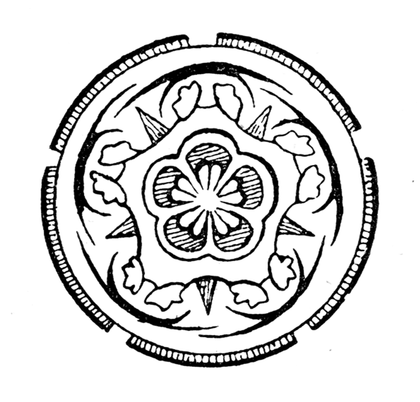 595x570 theobroma cacao drawing