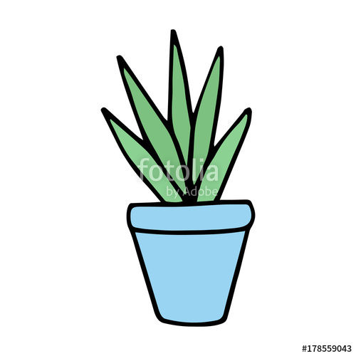 500x500 Cute Little Cacti In Blue Plant Pot Vector Illustration Doodle