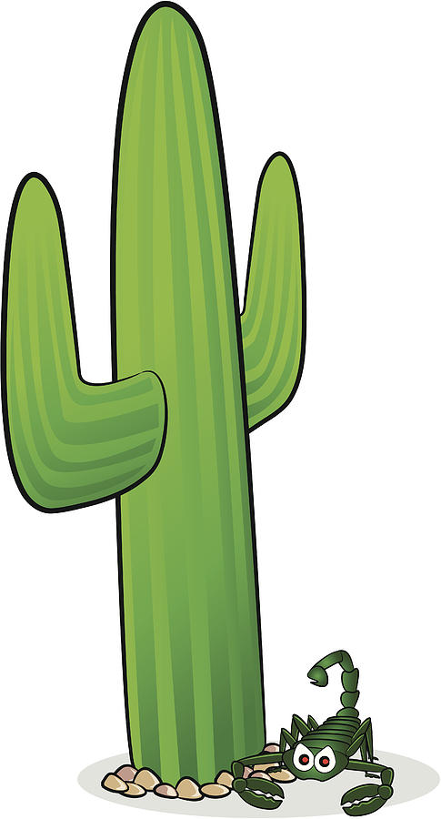 485x900 Cactus And Scorpion Cartoon Drawing