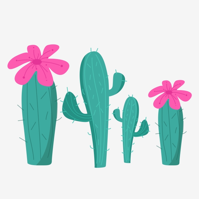 640x640 cactus cartoon hand drawn illustration cactus cartoon hand drawn
