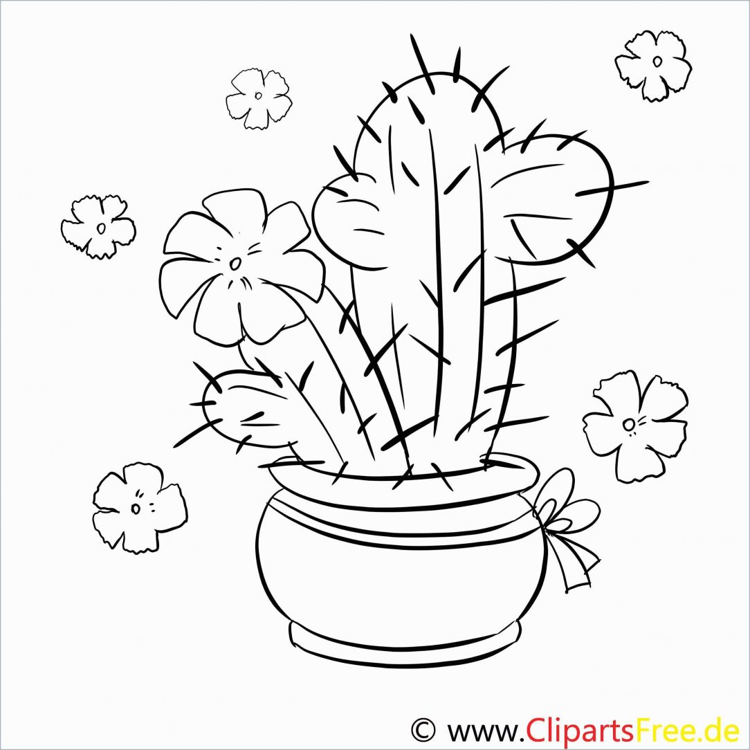 1084x1084 Cactus Flower Art Drawing Pictures Cartoon Angry Beavertail Bunny