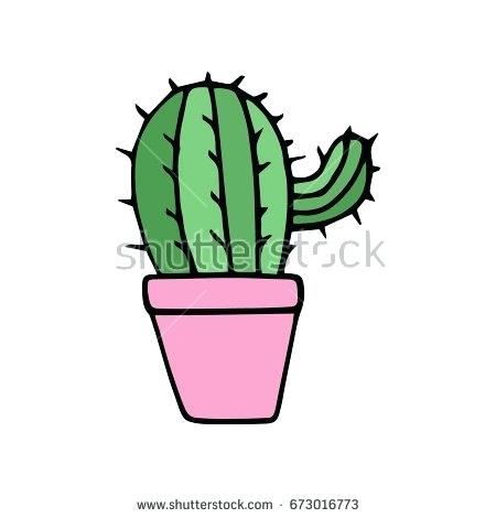 450x470 Cactus Drawing Flowers In A Pot Succulents Cactus Drawing