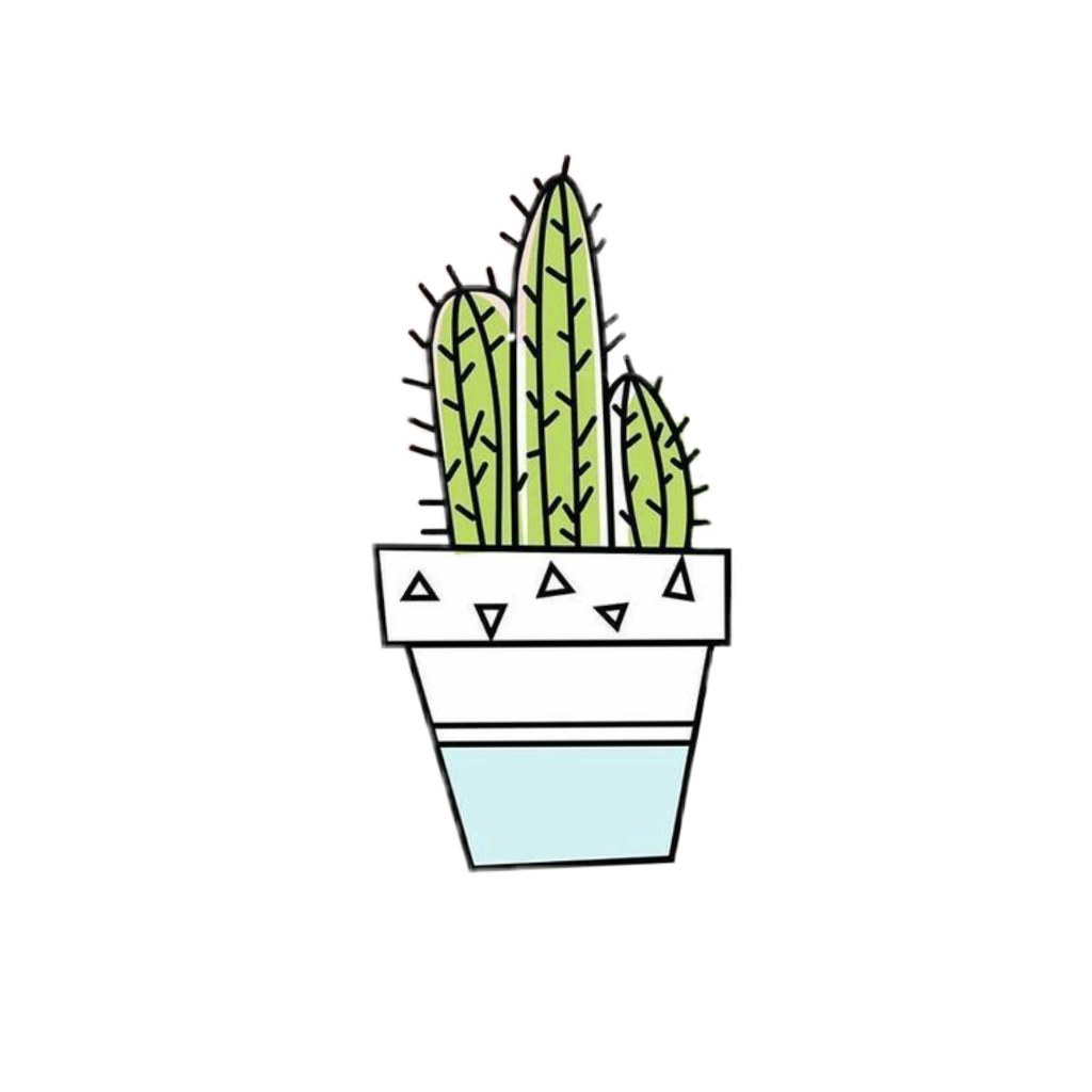 1024x1024 Cactus Drawing Download Free Clipart With A Transparent Background