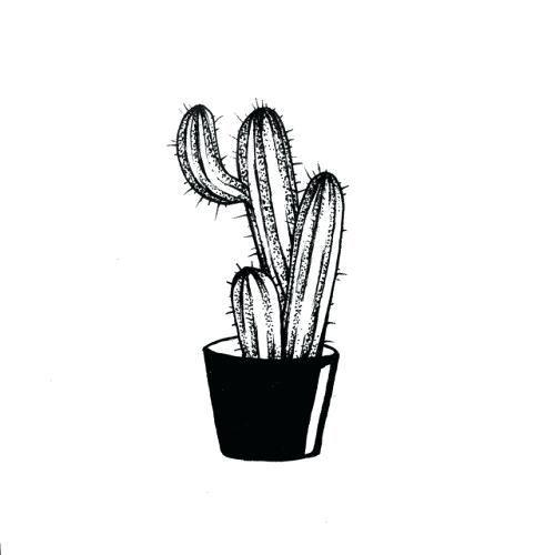 500x500 Drawings Of Cactus Cute Cactus Drawing Step