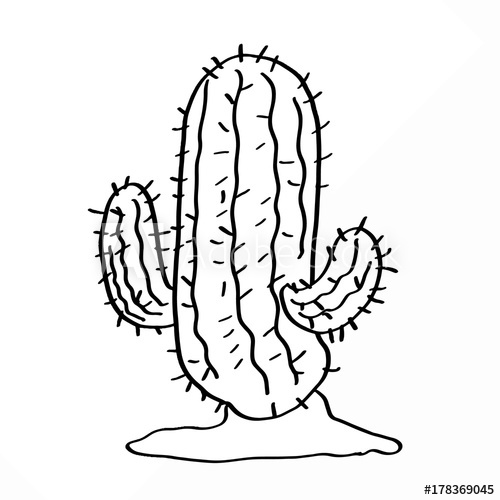 500x500 Cactus Drawing