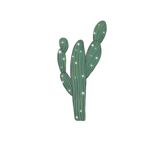 300x300 Cactus Drawings Royalty Free Illustrations
