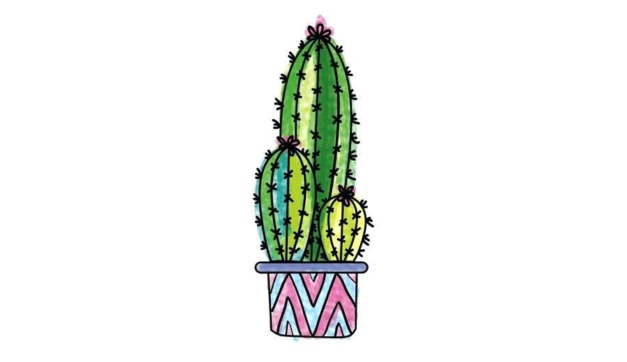 900x520 Cactus Plant Drawing