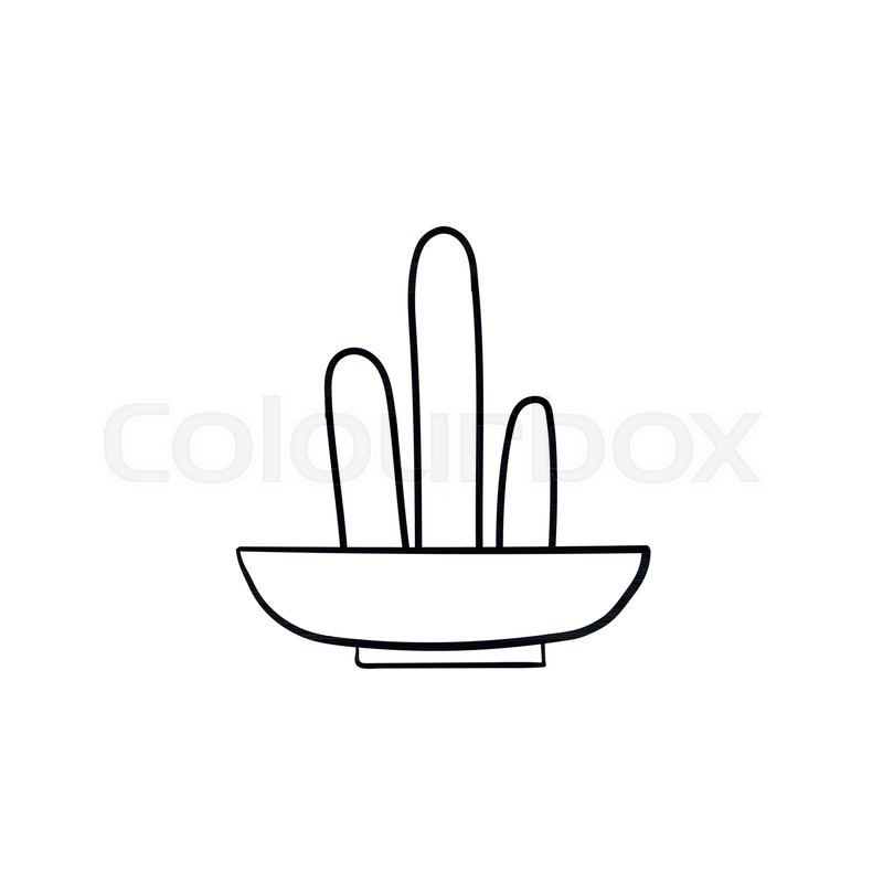 800x800 Cactus Hand Drawn Vector Outline Stock Vector Colourbox