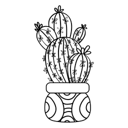 256x256 Drawing Cactus Color Transparent Png Clipart Free Download