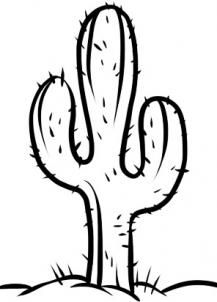 217x302 How To Draw Pages Cactus Drawing, Cactus