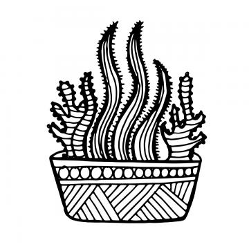 360x360 White Cactus Png Images Vectors And Free Download