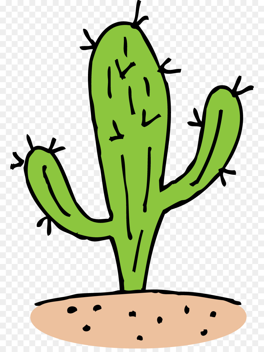 900x1200 Cactus, Drawing, Frog, Transparent Png Image Clipart Free Download