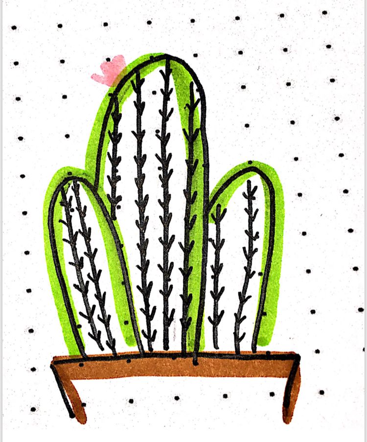750x903 easy cactus drawing w r i t i n g j o u r n e l s cactus