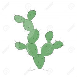250x250 Cactus Drawing Outline Botanical Artsy Pictures Big Images Carmi
