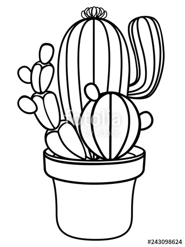 375x500 Cacti In A Flower Pot Home Plant