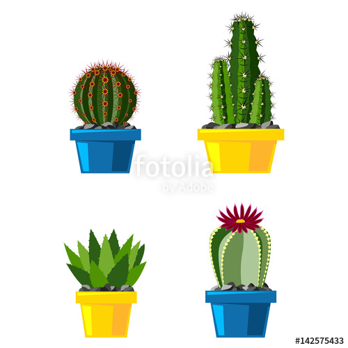 500x500 Cactus Flat Style Nature Desert Flower Green Cartoon Drawing