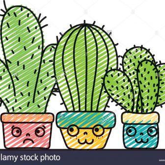 336x336 Drawing A Cactus Simple With Flower Body Barrel Artsy Images
