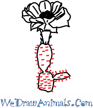300x350 How To Draw A Cactus Flower