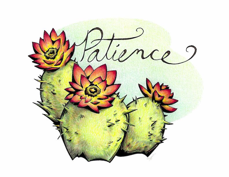 792x612 inspirational flower cactus inspirational artwork, floral art