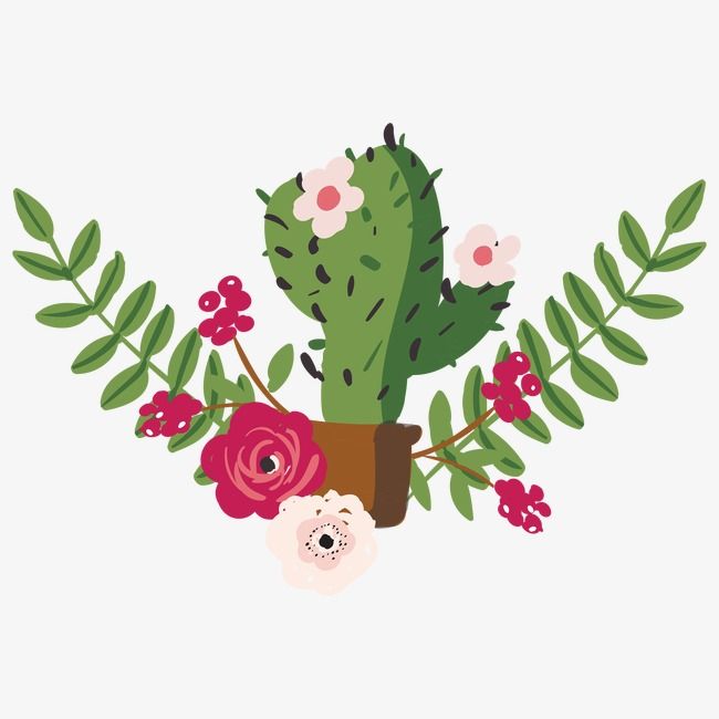650x650 Potted Cactus, Drawing Plant, Hand Painted Flowers, Cactus Png